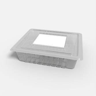 Packaging Flexible Packaging Plastic Box Dieline 603530